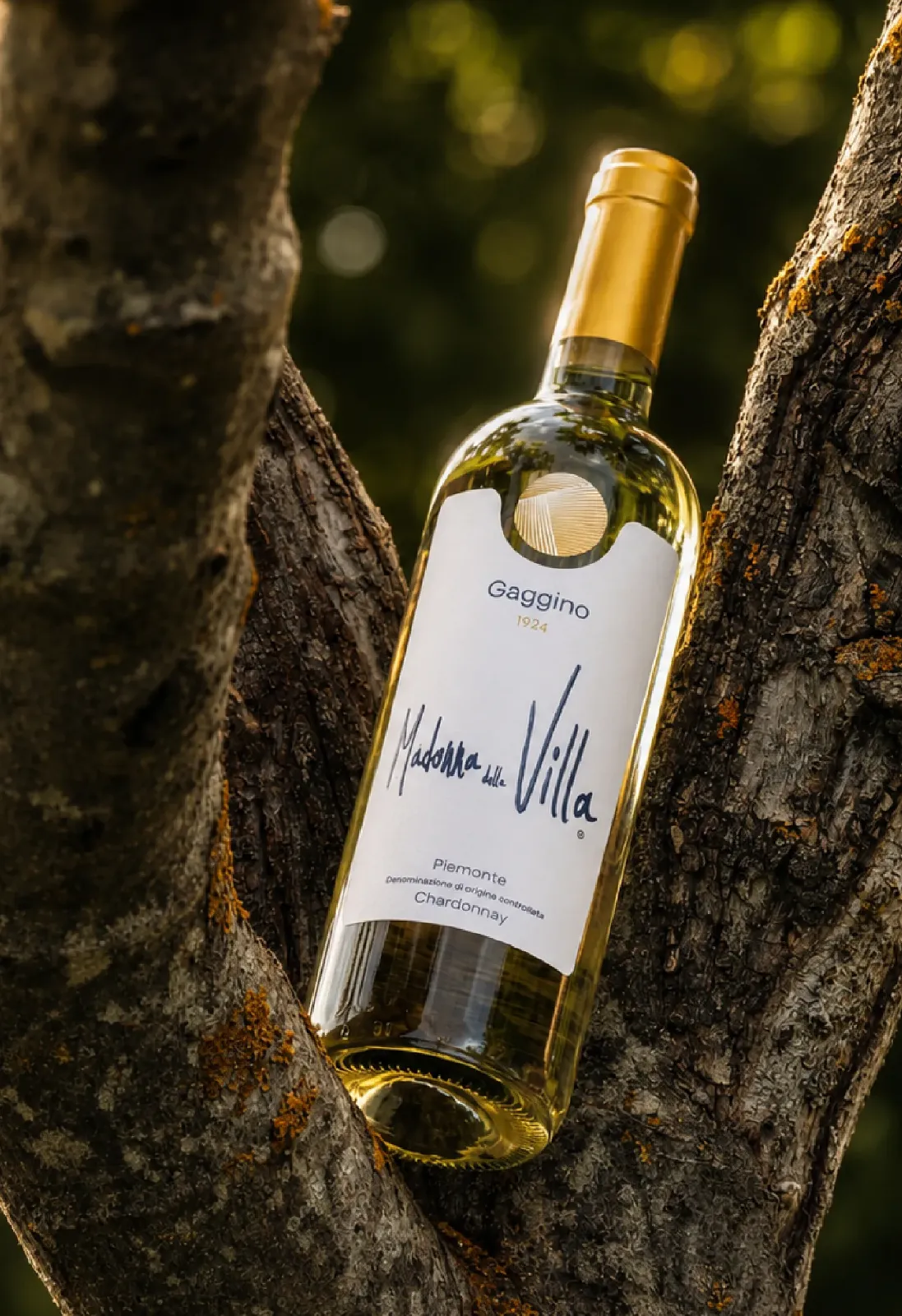 pastello-gaggino-portfolio